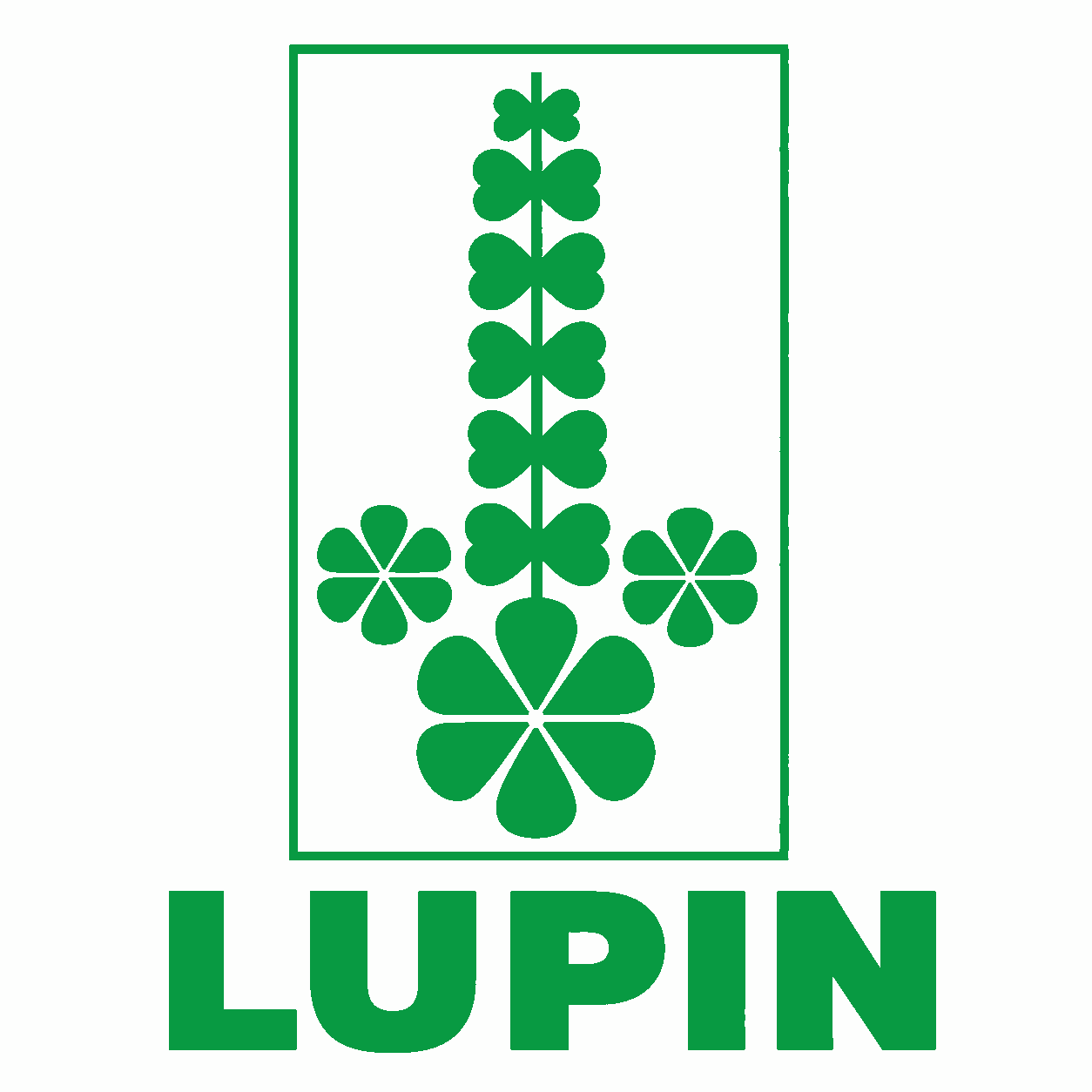 Lupin